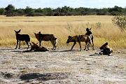 BOTSWANA Roberto e Lidia - 052
